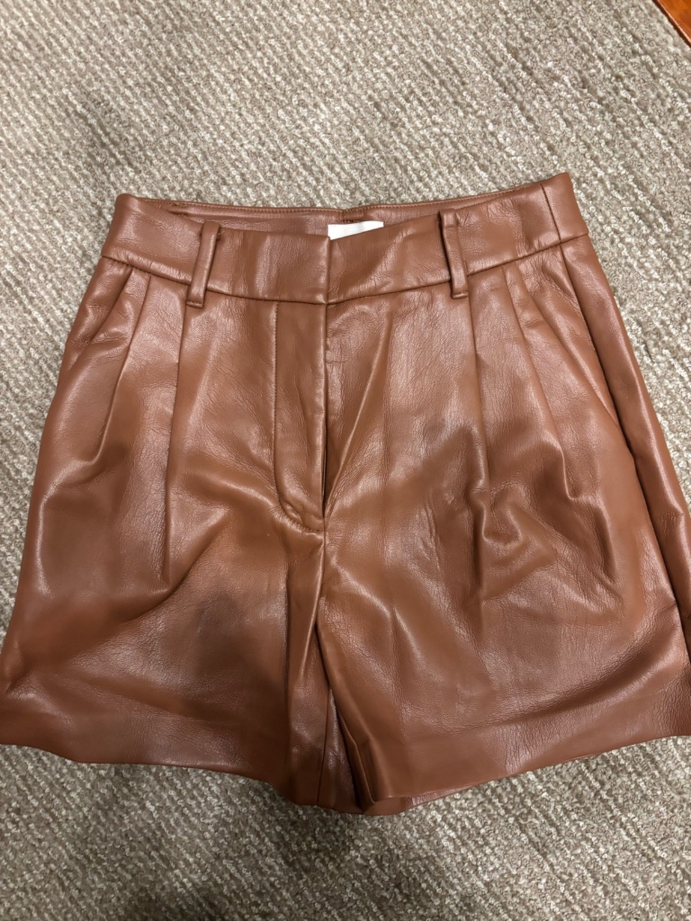 Aritzia Shorts